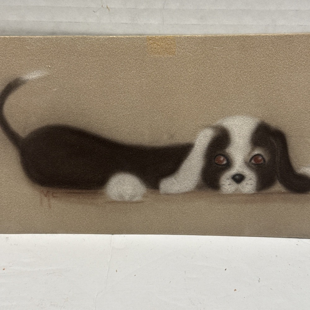 Vintage Original Sketch Of A Black And White Dog-Signed-M.‎ McCarthy-3.75"x4.25"